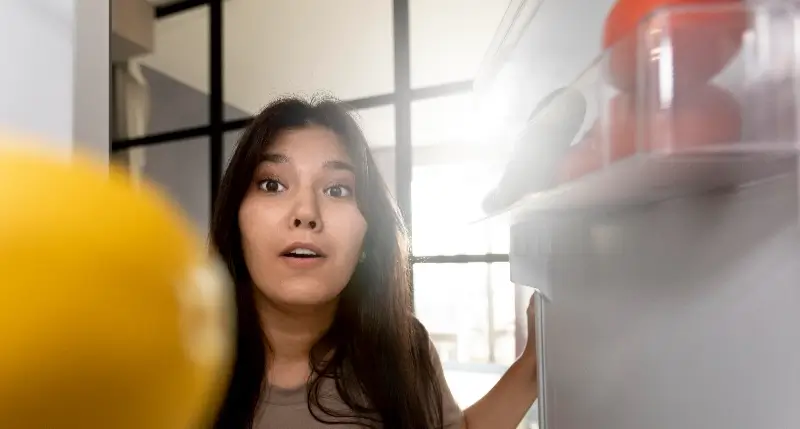 Diferenças da geladeira frost free